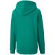 4. Puma teamGOAL 23 Casuals Hoody Jr 656711 05 Sweatshirt