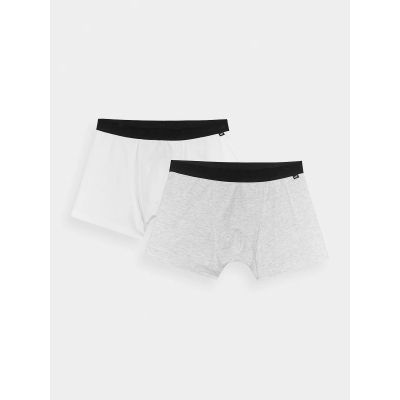 Herren-Boxershorts (2er-Pack) 4F 4FWMM00UBXSM059-90S