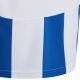 4. adidas Striped 24 Jr T-Shirt IW2134