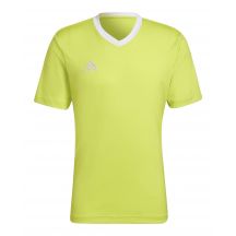 Tee adidas Entrada 22 M HC5077