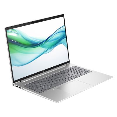 12. HP ProBook 460 G11 Core Ultra 7 155U 16" WUXGA IPS 300 Nits AG 16 GB DDR5 SSD512 Intel Arc 56 Wh W11Pro Pike Silver 3 Jahre Vor-Ort-Service