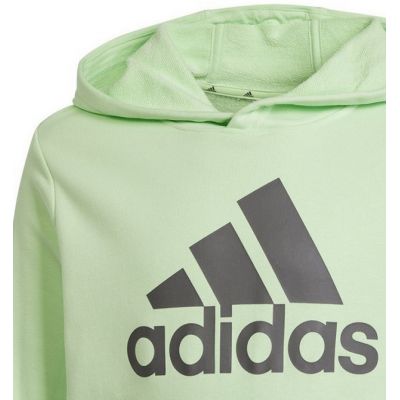3. Adidas Big Logo Hoodie Jr IS2591 Sweatshirt