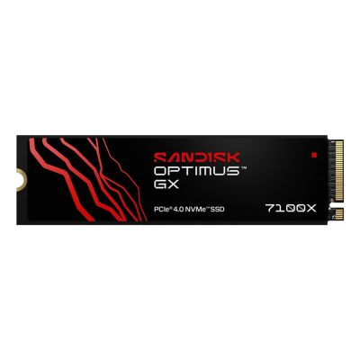 SSD SanDisk Optimus GX7100X 1 TB SDSG71200TAN