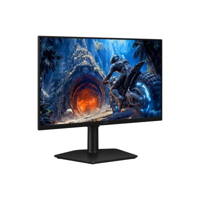 13. SAMSUNG LS25HG402EU MONITOR