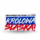 5. Acrylmagnet Wappen von Polonia Bytom