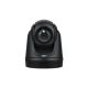 AVer DL30 Webcam 2 MP 1920 x 1080 px USB Schwarz