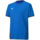 3. Puma teamGOAL 23 Trikot Jr 704160 02