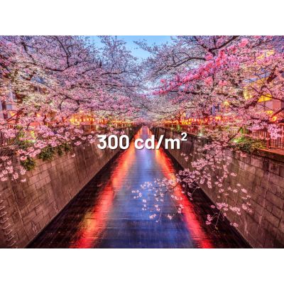 8. Monitor JAPANNEXT 60,5 cm JN-I238FHD120F-HSP-YE 16:9 HDMI gelb FHD