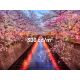 8. Monitor JAPANNEXT 60,5 cm JN-I238FHD120F-HSP-YE 16:9 HDMI gelb FHD