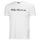 6. Helly Hansen Core Graphic T 2.0 M T-Shirt 54599 001