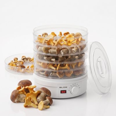 9. Föhn für Pilze und Früchte FD-01 500W