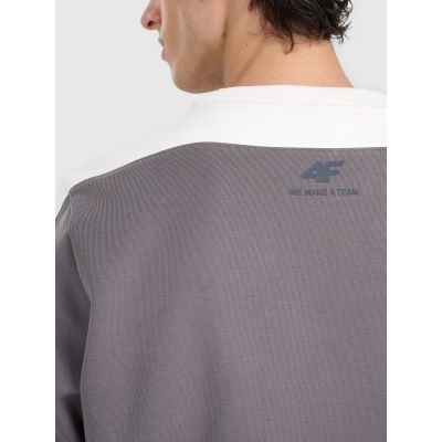 6. Herren-Sweatshirt ohne Reißverschluss, ohne Kapuze, 4F 4FRAW25TSWSM2457-23S