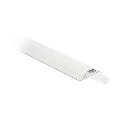 DeLOCK Kabelrinne 30 x 8 mm – Länge 1 m, weiß