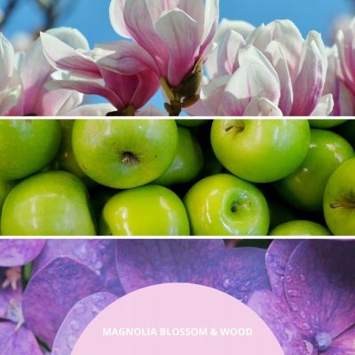 2. Innenparfüm 100 ml MAGNOLIA BLOSSOM & WOOD MILLEFIORI