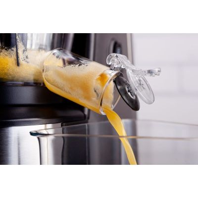 20. ELDOM Slow Juicer PJ400 400W Silber-Schwarz, BPA-frei, Schnecke 80 [U/min]