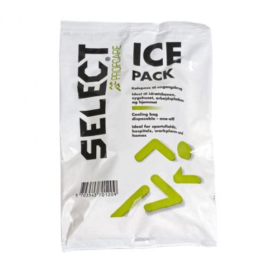 Wählen Sie Eisbeutel 0755