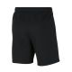 2. Nike Park 20 Fleece Jr CW6932-010 Shorts