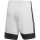 10. adidas Tastigo 19 Shorts M DP3247