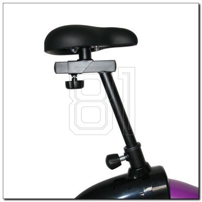 6. Lila Magnetfahrrad HMS M9239V 