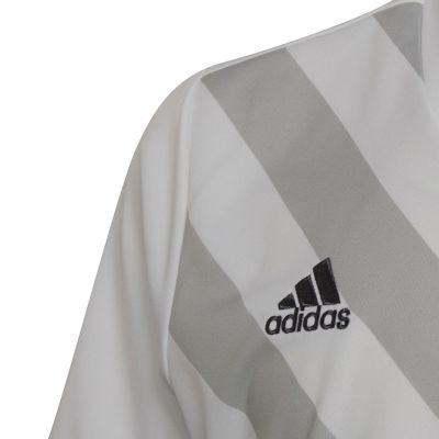 16. adidas Entrada 22 Graphic Jersey Jr HF0120