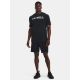 12. Under Armour T-Shirt M 1379023-001