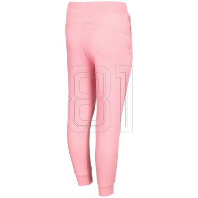 2. Hose 4F Jr HJL22-JSPDD001 56M