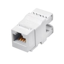 Q-LANTEC RJ45 UTP Cat.6 Keystone-Modul