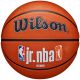 2. Wilson Jr NBA Logo Auth Outdoor-Basketball WZ3011801XB6