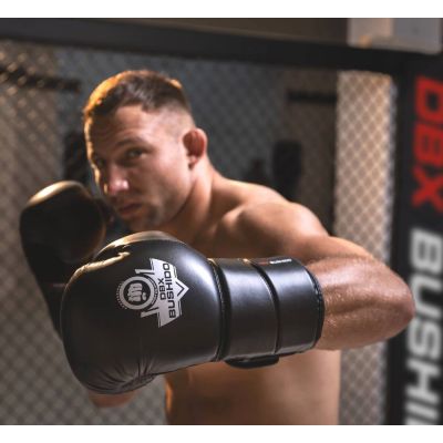 2. 10oz Boxhandschuhe - Eclipse - Origin Series