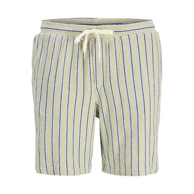 Jack&Jones Herren-Streifenshorts JPSTJAIDEN COBA STRIPE JOG SHORTS REG SN 12274413 TEA/STRIPES