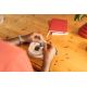 6. ABUS FUMO45000 intelligentes Element der Smart-Home-Zentrale
