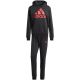 9. adidas Big Logo Terry Trainingsanzug M IP5553