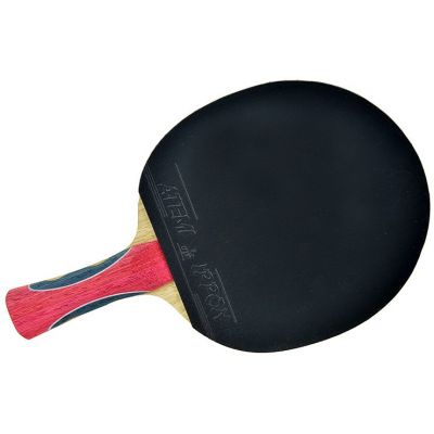 4. Atemi 2000 Tischtennisschläger