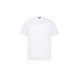 7. Paul&Shark Herren-T-Shirt aus Baumwolle, Weiß und Gold, 99311008-10E – Klassischer Schnitt, Logo