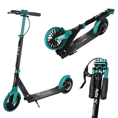 2. HM181T Roller mit Scheibenbremse Nils Extreme