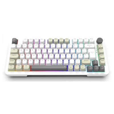 4. Inca IKG-455 Gaming-Tastatur USB + RF Wireless + Bluetooth QWERTY Deutsch Weiß