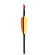 2. Fiberglaspfeile 30" Poe Lang (VD-065-B3) – 5er-Set
