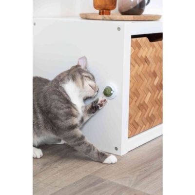 3. Katzenminzeball mit Griff, für Katzen, 5 cm, zum Aufkleben