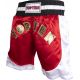 5. TOP TEN Kick Light Shorts (WAKO-GENEHMIGT)