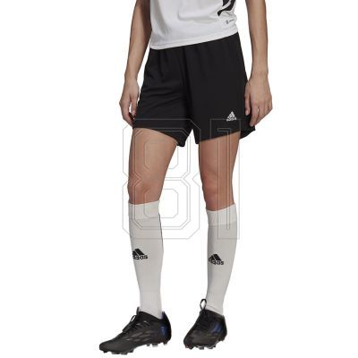 2. adidas Entrada 22 W Shorts HH9999