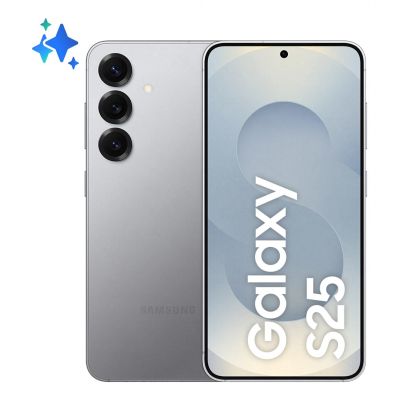 36. Samsung Galaxy S25 (S931) 5G DS 12/256GB Silber