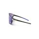 4. Julbo EDGE Sonnenbrille, schwarz