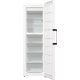 2. GORENJE FN619EAW6 Gefrierschrank