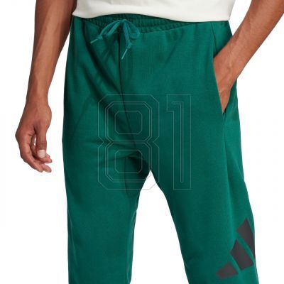 5. adidas Essentials Big Logo French Terry Hose M JE8971