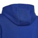 3. adidas Big Logo Essentials Hoody Jr HN1912 Sweatshirt