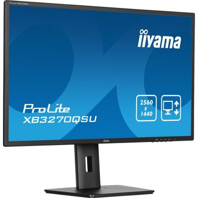 3. IIYAMA LED 31,5"-Monitor