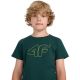 6. T-Shirt 4F Jr 4FJWAW25TTSHM2417 46S