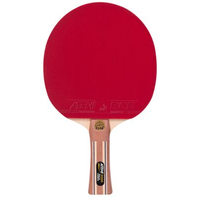 3. Atemi 5000 Tischtennisschläger