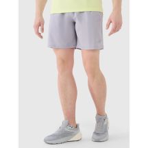 Schnelltrocknende Trainingsshorts für Herren 4F 4FWSS25TFSHM0912-25S