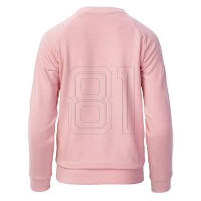 3. Iguana Kauri Sweatshirt W 92800442932
